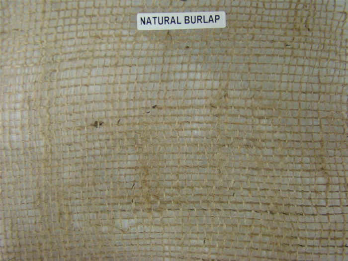 Natural_Burlap_6_4a96da5cc1ab8.jpg