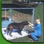 Shady Dog Kennel Shade 10' x 10' 60% Black